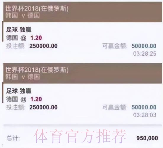 全面评测世界杯买球平台体验优缺点